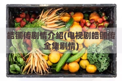 皓镧传剧情介绍(电视剧皓镧传全集剧情)