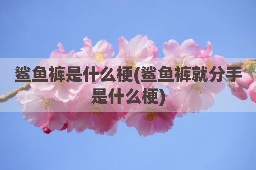鲨鱼裤是什么梗(鲨鱼裤就分手是什么梗)