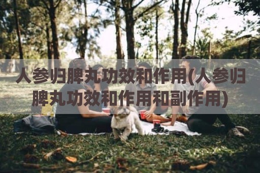 人参归脾丸功效和作用(人参归脾丸功效和作用和副作用)