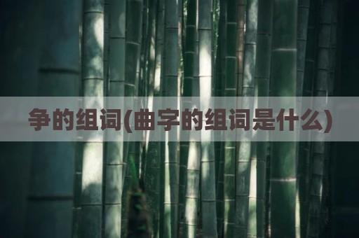 争的组词(曲字的组词是什么)