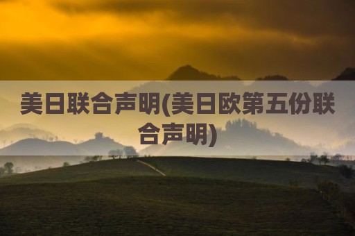 美日联合声明(美日欧第五份联合声明)