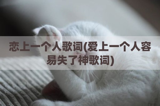 恋上一个人歌词(爱上一个人容易失了神歌词)