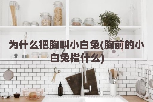 为什么把胸叫小白兔(胸前的小白兔指什么)