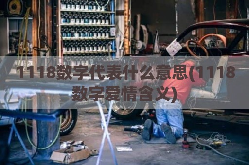 1118数字代表什么意思(1118数字爱情含义)