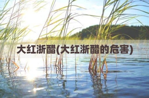 大红浙醋(大红浙醋的危害)