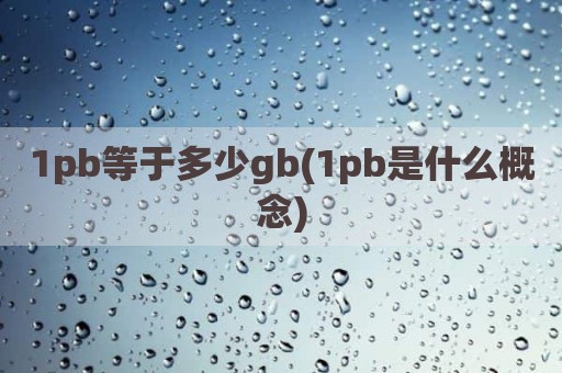 1pb等于多少gb(1pb是什么概念)