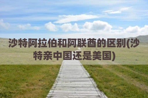 沙特阿拉伯和阿联酋的区别(沙特亲中国还是美国)