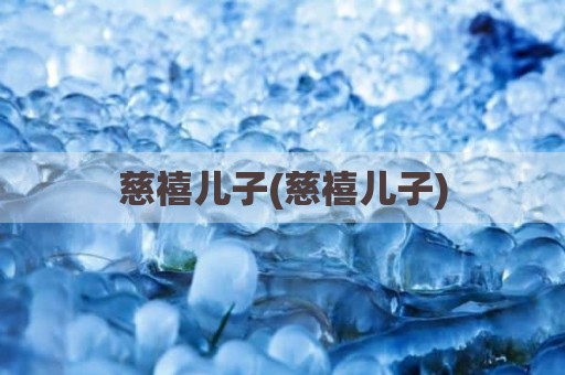 慈禧儿子(慈禧儿子)