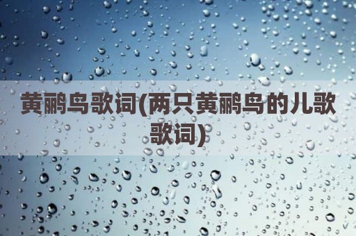 黄鹂鸟歌词(两只黄鹂鸟的儿歌歌词)