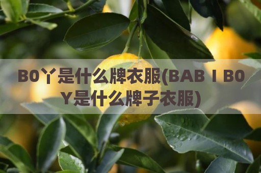B0丫是什么牌衣服(BABⅠB0Y是什么牌子衣服)