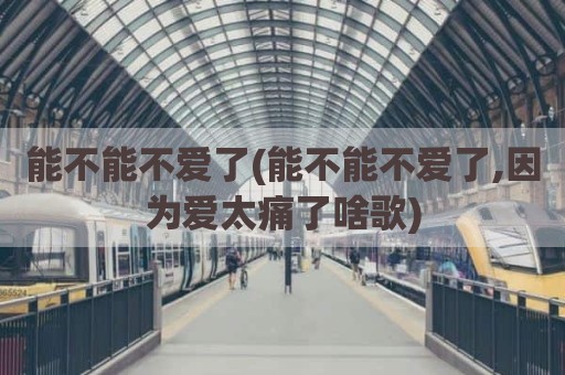 能不能不爱了(能不能不爱了,因为爱太痛了啥歌)