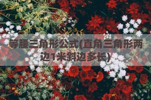 等腰三角形公式(直角三角形两边1米斜边多长)
