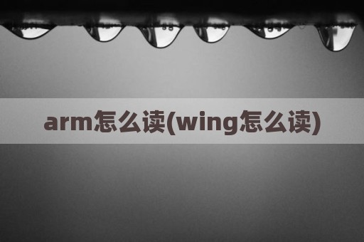 arm怎么读(wing怎么读)