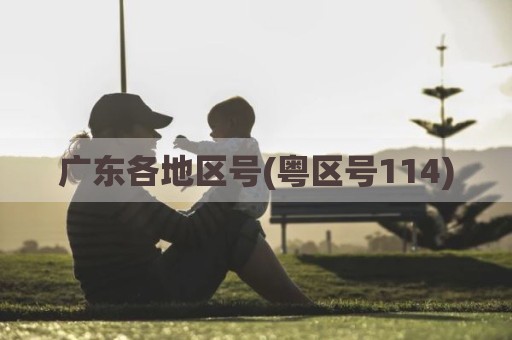 广东各地区号(粤区号114)