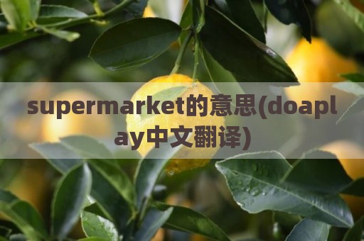 supermarket的意思(doaplay中文翻译)