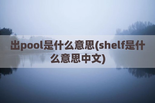 出pool是什么意思(shelf是什么意思中文)