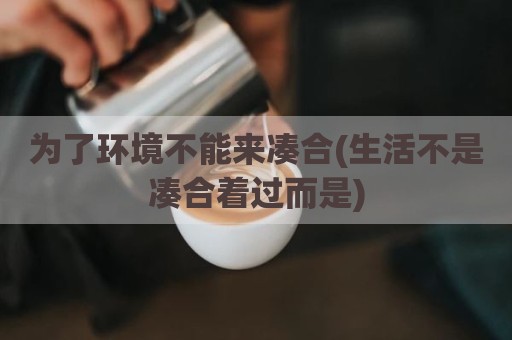 为了环境不能来凑合(生活不是凑合着过而是)