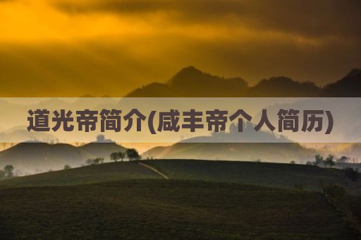 道光帝简介(咸丰帝个人简历)