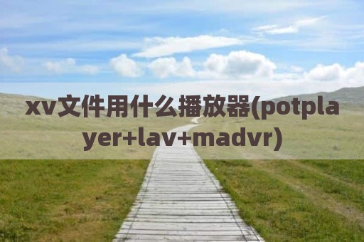 xv文件用什么播放器(potplayer+lav+madvr)