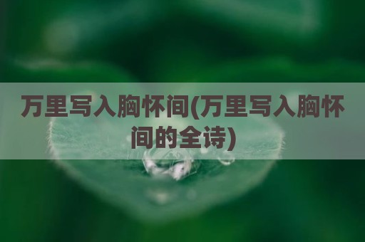 万里写入胸怀间(万里写入胸怀间的全诗)