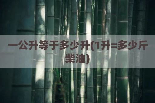 一公升等于多少升(1升=多少斤柴油)