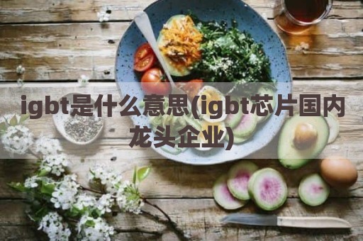 igbt是什么意思(igbt芯片国内龙头企业)