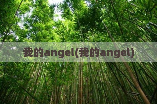 我的angel(我的angel)