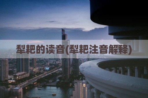 犁耙的读音(犁耙注音解释)