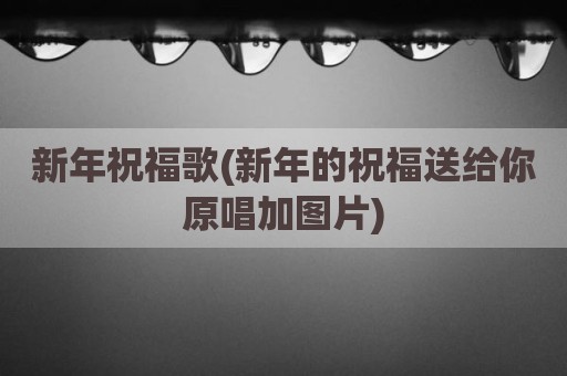 新年祝福歌(新年的祝福送给你原唱加图片)