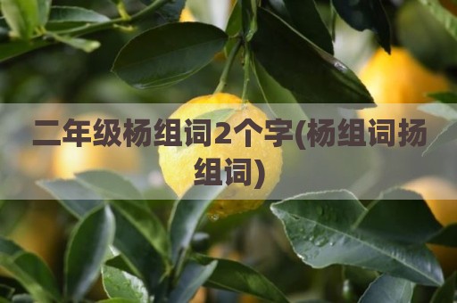 二年级杨组词2个字(杨组词扬组词)