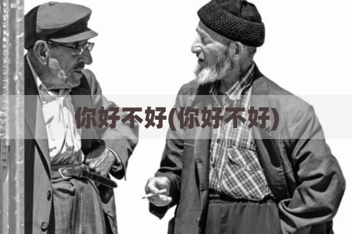 你好不好(你好不好)