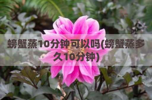 螃蟹蒸10分钟可以吗(螃蟹蒸多久10分钟)