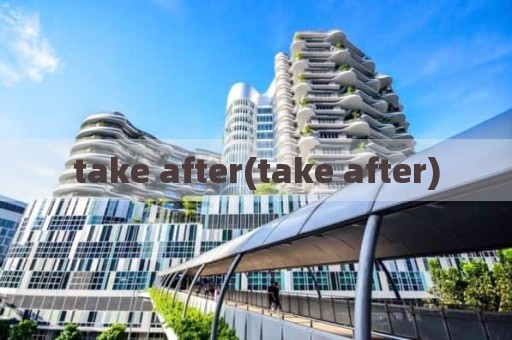 take after(take after)