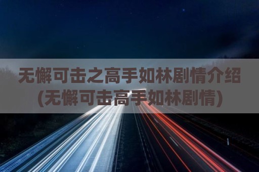 无懈可击之高手如林剧情介绍(无懈可击高手如林剧情)