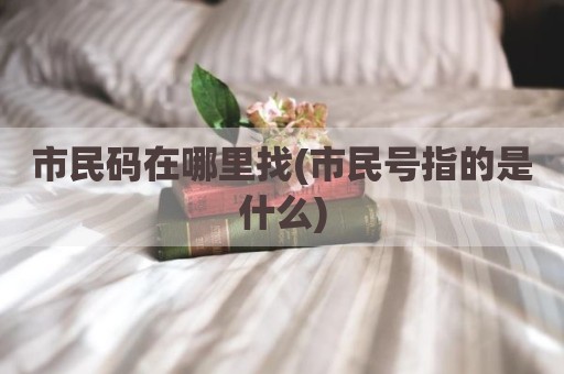 市民码在哪里找(市民号指的是什么)
