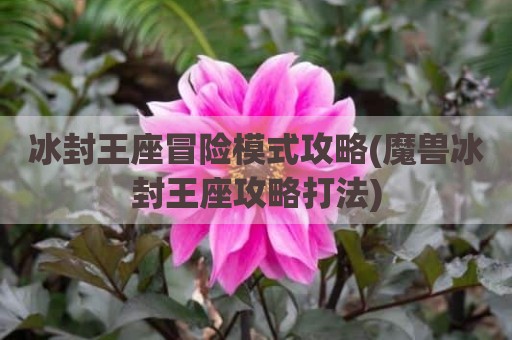 冰封王座冒险模式攻略(魔兽冰封王座攻略打法)