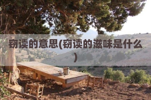 窃读的意思(窃读的滋味是什么)