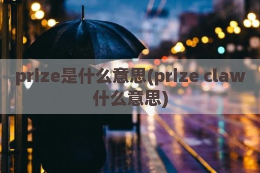 prize是什么意思(prize claw什么意思)
