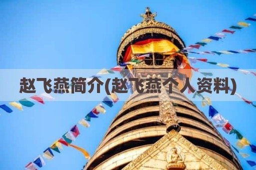 赵飞燕简介(赵飞燕个人资料)
