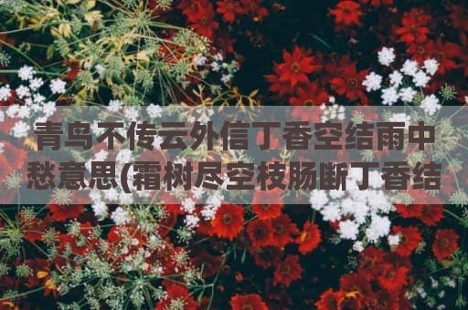 青鸟不传云外信丁香空结雨中愁意思(霜树尽空枝肠断丁香结的诗意)