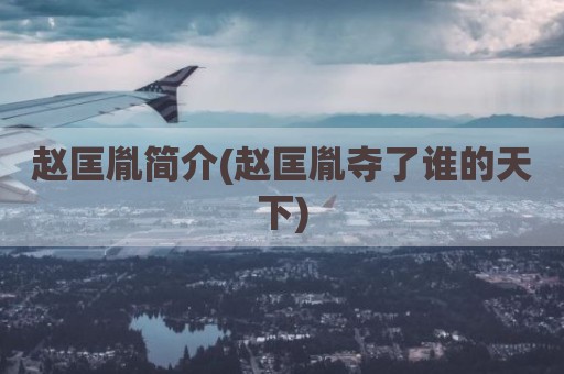 赵匡胤简介(赵匡胤夺了谁的天下)