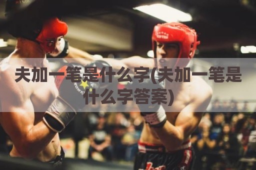 夫加一笔是什么字(夫加一笔是什么字答案)