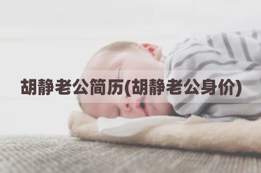 胡静老公简历(胡静老公身价)