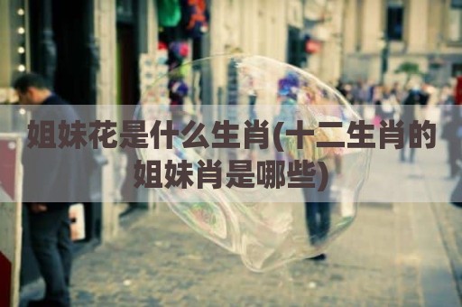 姐妹花是什么生肖(十二生肖的姐妹肖是哪些)