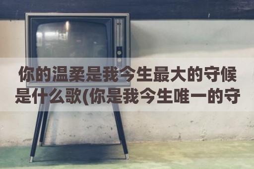 你的温柔是我今生最大的守候是什么歌(你是我今生唯一的守候什么歌)