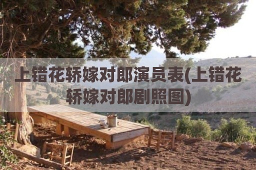 上错花轿嫁对郎演员表(上错花轿嫁对郎剧照图)