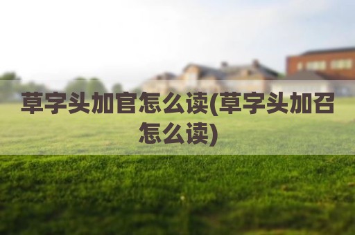 草字头加官怎么读(草字头加召怎么读)