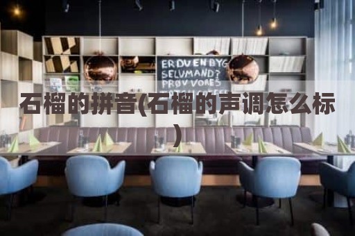 石榴的拼音(石榴的声调怎么标)