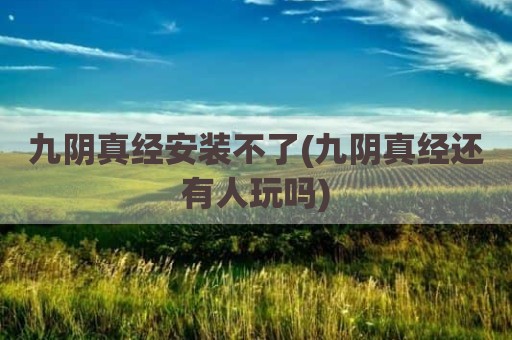 九阴真经安装不了(九阴真经还有人玩吗)