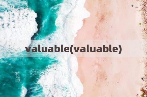 valuable(valuable)